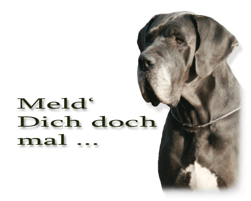 Meld Dich doch mal